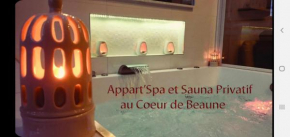 Гостиница Appart' Spa et Sauna Privatif Au Cœur De Beaune  Бон
